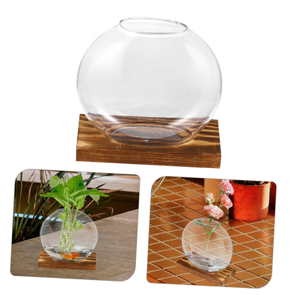 HANABASS 2sets Hydroponic Glass Planter Decorative with Eucalyptus Base for Home Office for Plant Propagation Display Clear Design for Elegant Decor