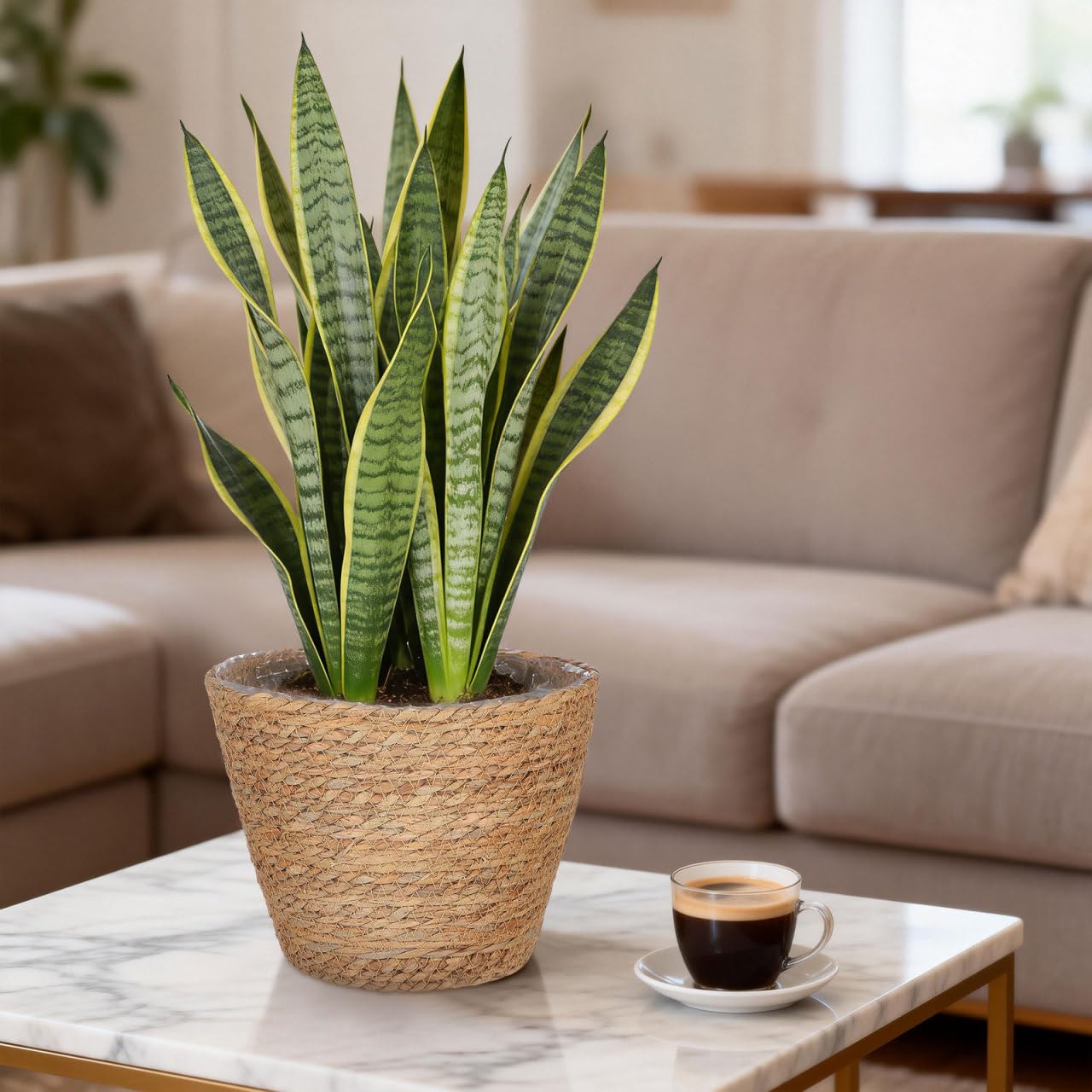 Wicker Planter Baskets with Plastic Liner: 2Pcs Round Seagrass Planter Storage Baskets, Straw Woven Rattan Flower Plants Pot Covers for Indoor Outdoor, Rustic Boho Farmhouse Decor 9 X 9 X 6.5''