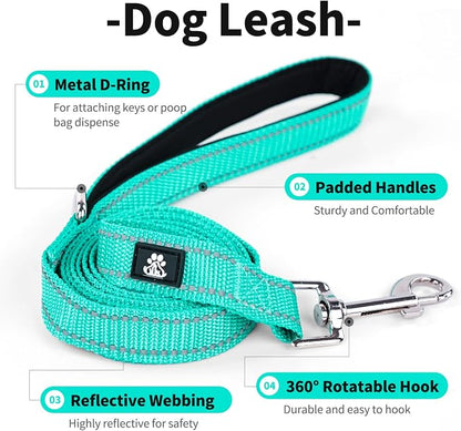 IVY&LANE 2 Pack Reflective Dog Collars and Leashs Set,Adjustable Neoprene Padded Dog Collar for Puppy, Breathable Nylon Pet Collar for Small Medium Large Dogs(Medium,Blue+Teal)