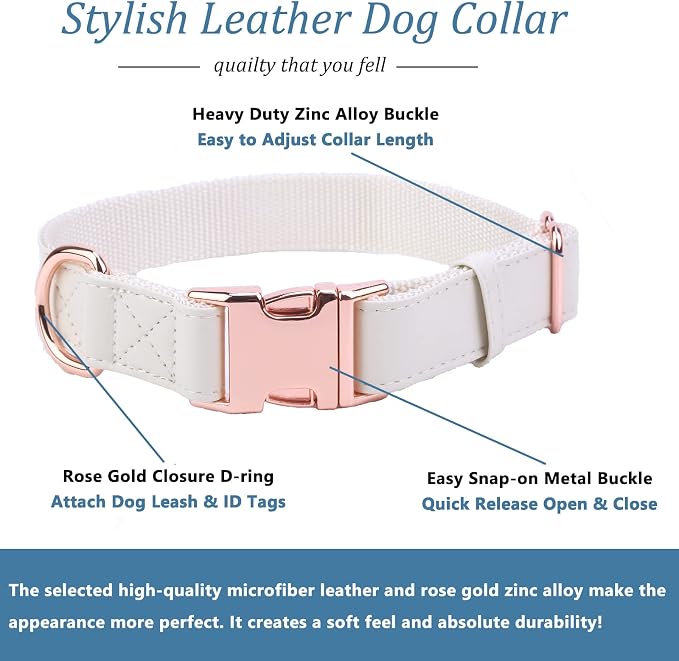 Dog Collar and Leash Set.Soft and Easy to Clean Vegan Leather with Rose Gold Metal Buckle for Small Medium Large Dogs (Off-White, M(13.8"-19.7"))