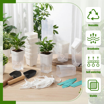 RimCereal 30 Pack 2" Small Self Watering Pots for Indoor Plants Clear Mini Self Watering Plant Pot with Water Level, Drainage Holes 30 Plastic Label 3 Planting Tools, Rope for Propagation Succulents