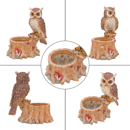Cute Owl Succulent Plant Pot - Durable Resin Animal Planter with Drainage Hole, Decorative Flower Vase for Indoor Outdoor Desktop Garden, Unique Owl Gifts for Bird Lovers, Cactus Pot for Home Office