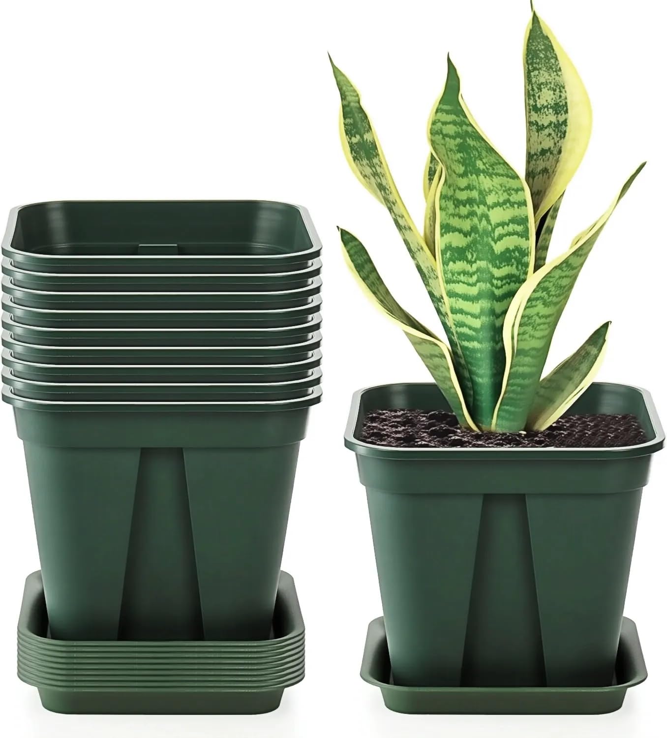Fasmov 10 Pcs Square Nursery Pot 7 Inch Plastic Plant Pots with Drainage Hole Garden Flower Pots Nursery Plant Container, Flower Planters with Trays for Succulents Herbs Cactus, Green