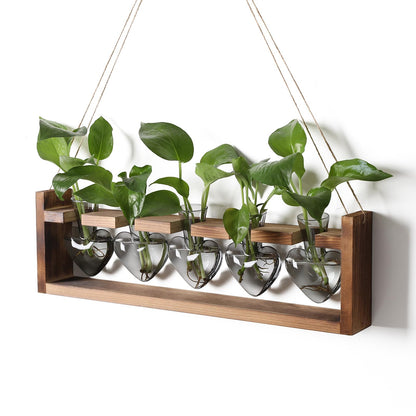 Plant Terrarium Hanging Propagation Stations Gift for Women Air Plants Holder with Wooden Stand Heart Glass