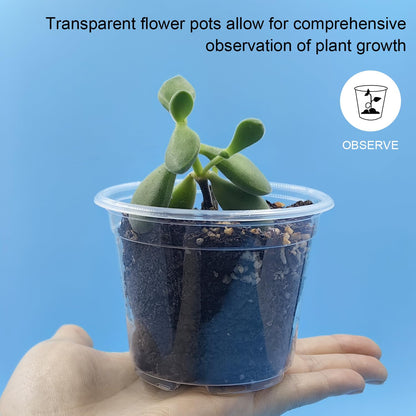 RooTrimmer 100 Pack 2.8 Inches Clear Plant Pots with Drainage Holes, Transparent Seeding Nursey pots, Round Plastic pots for Seeds Starter, Seeds Germination