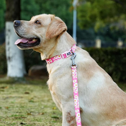 Dog Collar and Leash Set, Cute Pink Daisy Pattern, Polyester Material, 5ft Leash, for Puppy Dogs.(Extra Small, Pink Daisy)