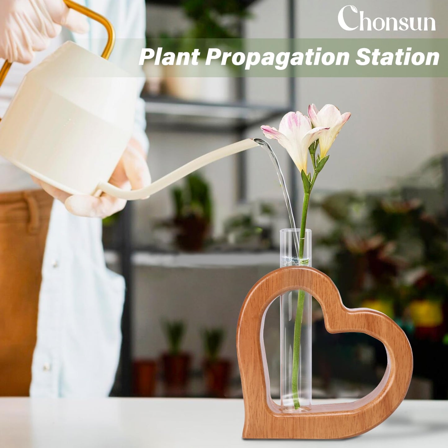 Chonsun Plant Propagation Stations 2 PCS Wall Hanging Planters for Indoor Plants Glass Tubes Home Decorations Gifts Terrarium Plants Live