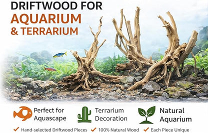 Azil spiderwood Natural Aquarium