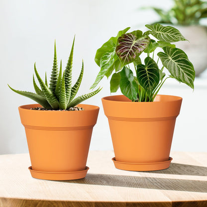 WSMKSZ 5 Inch Plastic Plant Pots with Drainage Holes and Trays – 6 Pack Small Nursery Pots for Indoor & Outdoor House Plants and Flowers, Seedling Starter Planters, Terracotta
