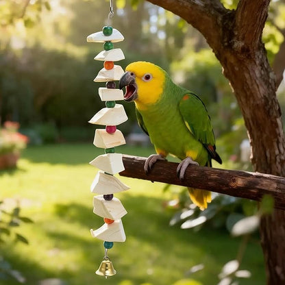 Bird Toys with Cuttlebone, Prevents Destructive Chewing, Grinding Stone for Bird, White, Colorful, 3 Pcs