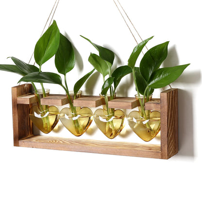 Plant Propagation Stations Heart Plant Terrarium Kit Gift for Women Plant Lover Glass Vases