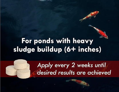 Koiworx Muck Reducer - Treats up to 2,500 gallons for up to 4 Months - Tablets Reduce Muck, Sludge and Organic Build up - Formulated for Ponds and Water Features - Safe for Koi