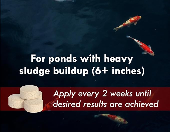 KoiWorx Muck Reducer, 145 Tablets Treats up to 6,000 Gallons of Water, Beneficial Bacteria Reduces Muck, Sludge and Organic Build up, Formulated for Ponds, Water Features and Safe for Koi