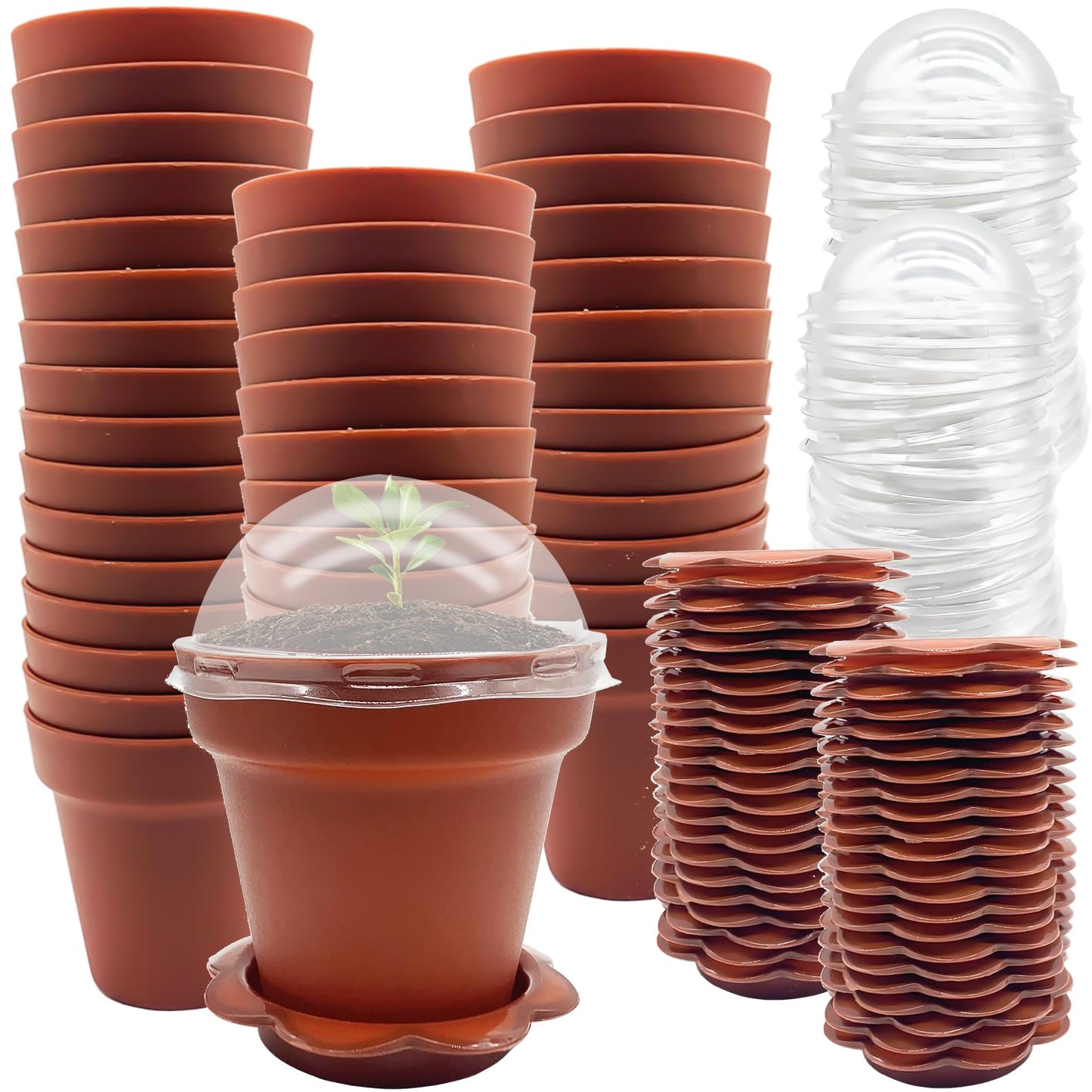 PURPLE STAR 1N 50 Packs Cupcake Plant Nursery Pots with Humidity Dome- Planting Containers Cups- Small Flower Pots with Trays & Lids for Indoor Outdoor Seedling Succulent Vegetable (Wine Red)