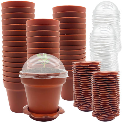 PURPLE STAR 1N 50 Packs Cupcake Plant Nursery Pots with Humidity Dome- Planting Containers Cups- Small Flower Pots with Trays & Lids for Indoor Outdoor Seedling Succulent Vegetable (Wine Red)
