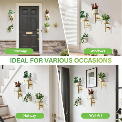 DELLAN Wall Plant Holder, 3 Pack Metal Wall Planters Stand Floating Shelves for Indoor Plants, Window Sill Plant Decor for Bedroom, Bathroom, Living Room, Home, Office, All Gold