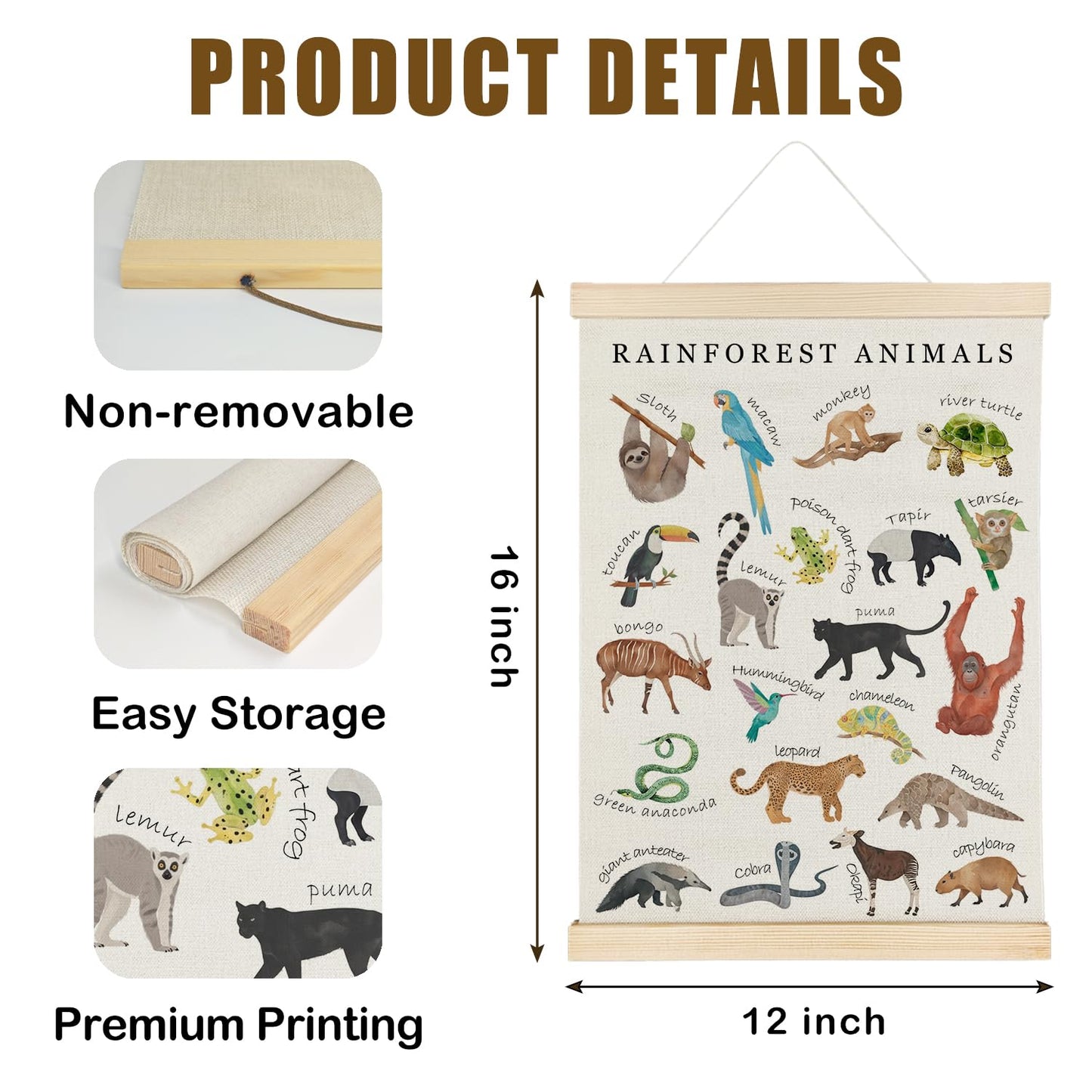 Nrleey Rainforest Animals Wall Art - Educational Poster Hanger Frame, Nursery Decor, 12x16 Inches
