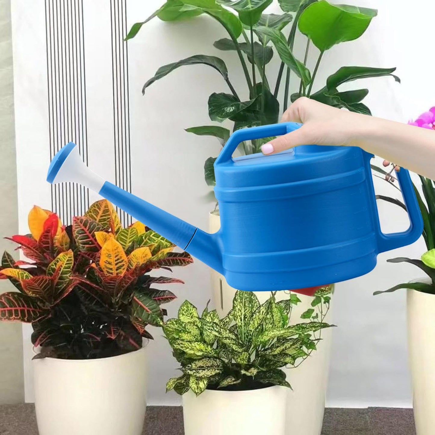 1 Gallon Watering Can Indoor Plants with Removable Sprinkler Head and Handle, Plastic Long Spout Watering Cans for Flower Garden Plants Indoor House Bonsai