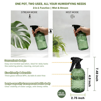 OFFIDIX Watering Can for Indoor Plants,Long Spout Metal Stainless Steel 21 oz Small Indoor Plant Watering Can with 14 oz Glass Plant Mister Spray Bottle for Inside