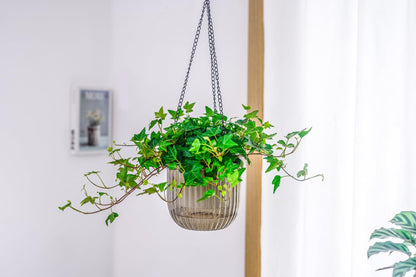 Melphoe 2Pack 6.5'' & 1Pack 8.3'' Self Watering Hanging Planters