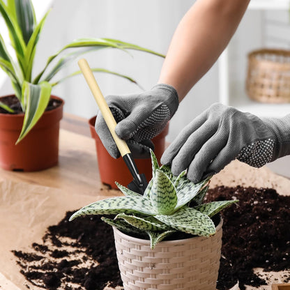 BESPORTBLE 10sets Mini Gardening Tools Handle Planting Tools Kit for Transplanting Flower and Vegetable Gardening