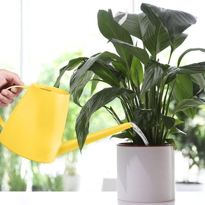 TTAOE GN Plastic Watering Can - for Indoor and Outdoor House Plant Garden - with Long Spout - 1/2 Gallon - Yellow