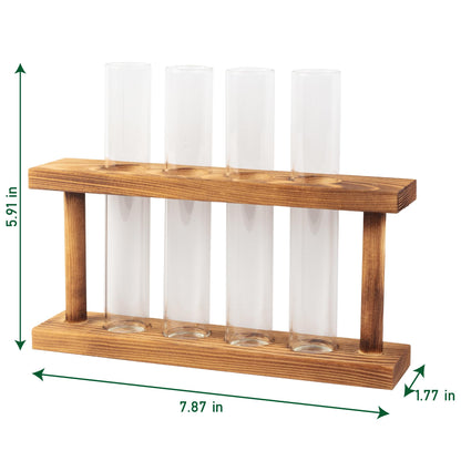 D'Eco Glass Plant Propagation Station (Set of 4 Tubes w Wooden Display) - Grow Hydroponics & Watch Them Grow Roots - Tabletop Vases for Spring Home & Office Decor for Plant Lovers
