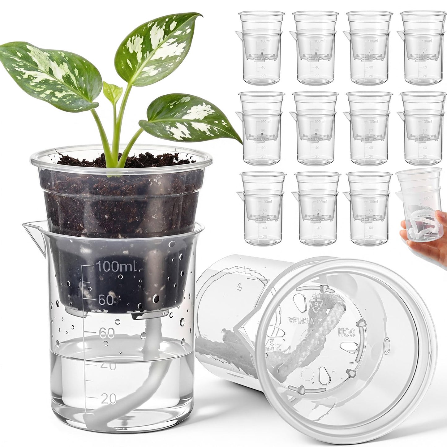 Ferrochef 30 Pcak 2.2'' Small Self Watering Planters for Indoor Plants Mini Clear Pots with Water Level Indicator Plastic Automatic-Watering Pot with Drainage Holes for Semi-hydroponic African Violet