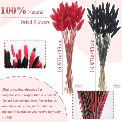 LILOCOO 120 Pcs Dried Bunny Tails Flower Red and Black Pampas Grass Flower Arrangements Bohemian Decor Home Wedding DIY Farmhouse Table Christmas Halloween (16 .9Inch)