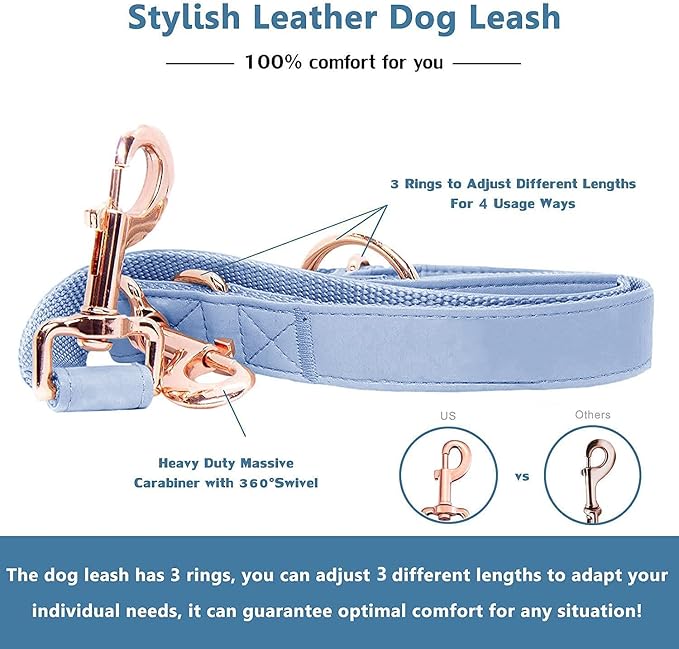 Soft Leather Dog Collar and Leash (6.6') Set - Stylish Rose Gold Heavy Duty Metal Buckle, 4 Adjustable Lengths Leash for Small Medium Large Dogs - Comfortable & Easy to Clean BluePurple L(15.4"-24.8")