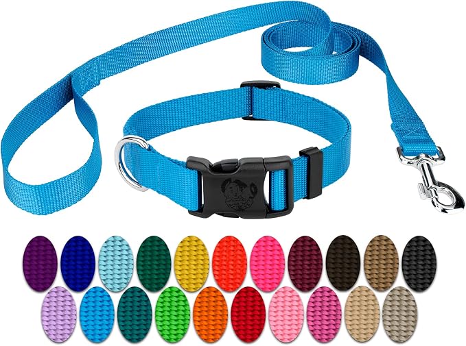 Country Brook Petz - Everyday Nylon Dog Collar and Leash - 10+ Cool Colors (3/8 Inch, Extra Small, Ice Blue)