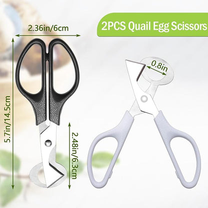 Adecco LLC Pigeon Quail Egg Cutter Scissors Stainless Steel Blades Bird Cutter 2 Pack (Quail Egg Scissor)