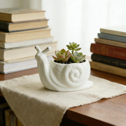 Youfui Snail Succulent Planter, Ceramic Animal Flower Pot for Home Office Desk Decor, Small Cactus Planter Pot, for Plant Lovers