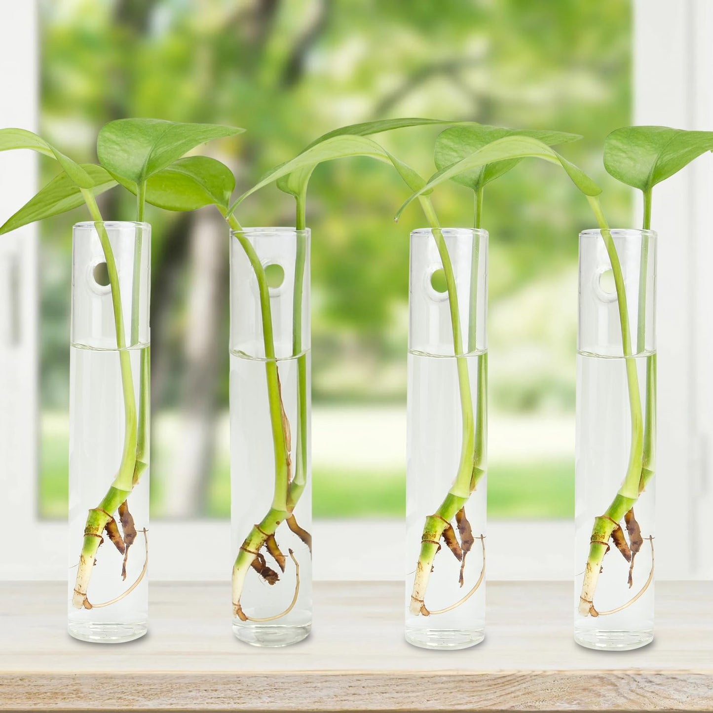 FOWSRHRG 4PCS Wall Hanging Planter Propagation Stations, Plant Tube with Suction Cup Hook, Test Tube Propagation Station Wall Clear Plant Vase No Nails with Bottle Brush Flower Plant Terrarium
