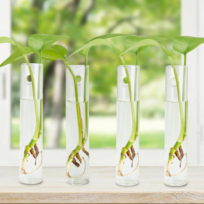 FOWSRHRG 4PCS Wall Hanging Planter Propagation Stations, Plant Tube with Suction Cup Hook, Test Tube Propagation Station Wall Clear Plant Vase No Nails with Bottle Brush Flower Plant Terrarium