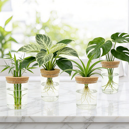 Glass Propagation Station for Plants Set of 4,Desktop Vases for Herb,Plant Cuttings,Planter Jars for Home,Propagation Flower Vases for Living Room,Bedroom,Home Office Decoration,Plant Lover Present