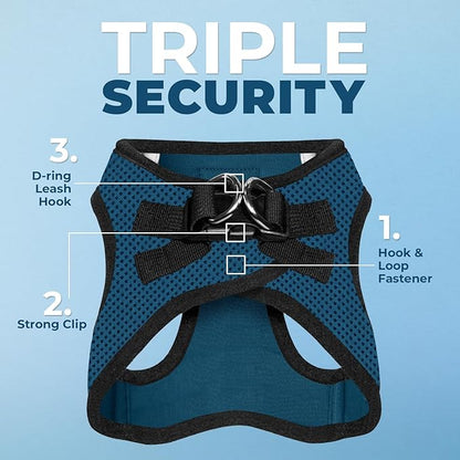 Best Pet Supplies Voyager Step-in Air All Weather Mesh Harness and Reflective Dog 5ft Leash Combo with Neoprene Handle, for Small, Medium and Large Breed Puppies - Blue/Black Trim, XX-Small