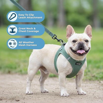 Best Pet Supplies Voyager Step-in Air All Weather Mesh Harness and Reflective Dog 5ft Leash Combo with Neoprene Handle, for Small, Medium and Large Breed Puppies - Moss Green, XXS