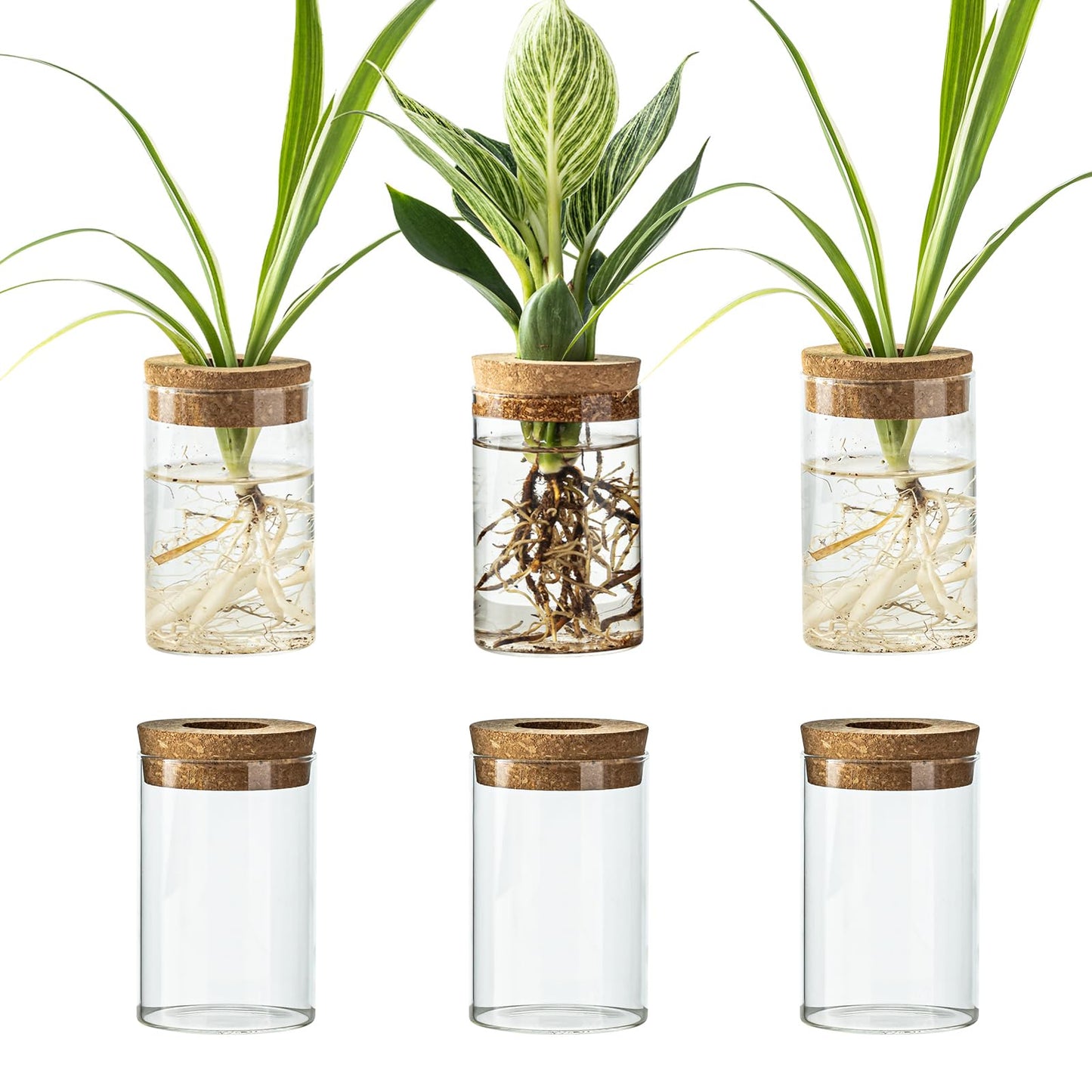 Snminetal Glass Plant Propagation Station Set of 6, Modern Desktop Flower Vase for Succulent Cuttings, Home Office Decoration, Ideal Housewarming Gift for Living Room, Bedroom