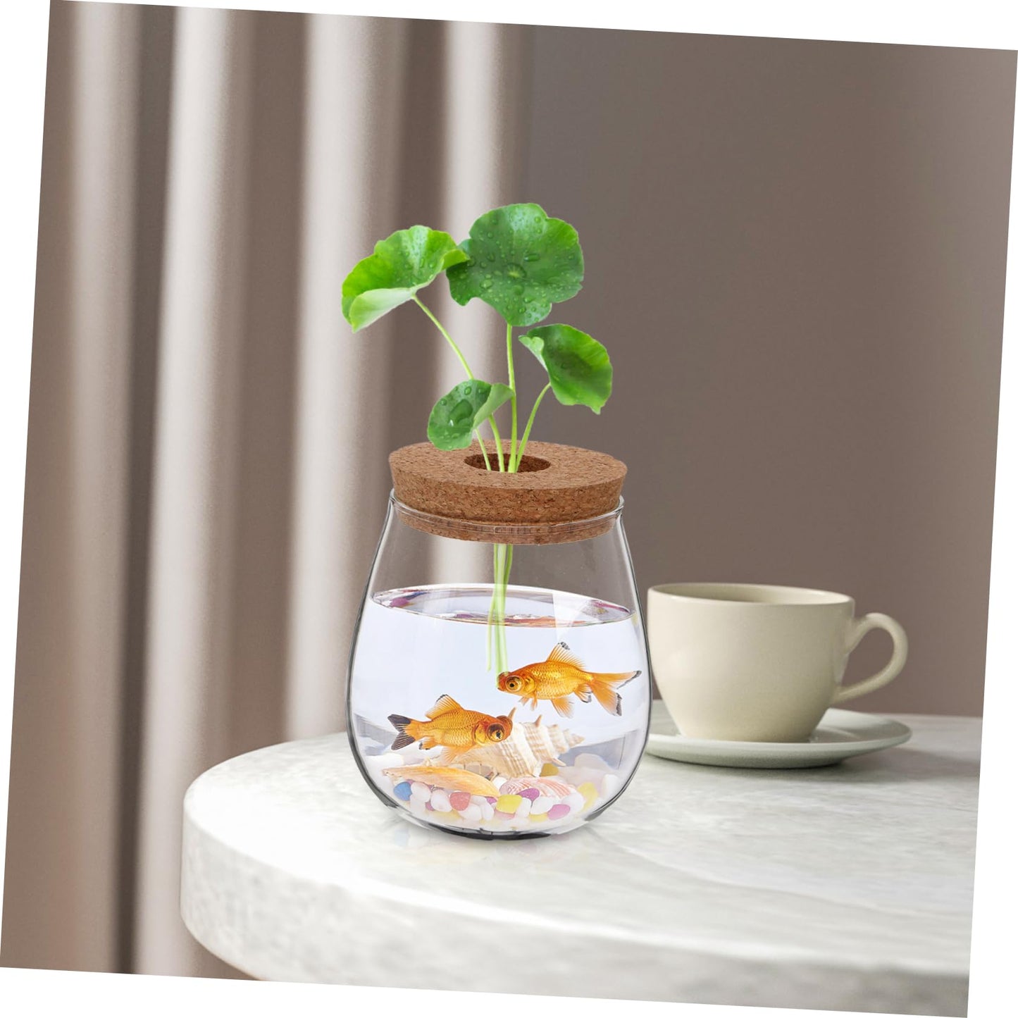 FUNOMOCYA Creative Glass Hydroponic Planter Modern Transparent Vase for Indoor Plants Elegant Desktop Propagation Terrarium Glass Aquarium for Spaces and Home Decor