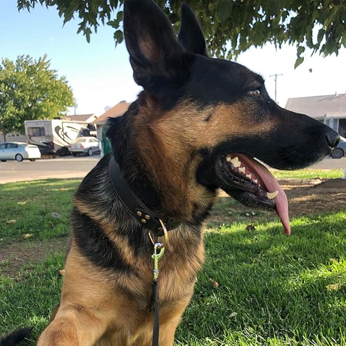 Genuine Leather Dog Collar, Heavy Duty Wide Dog Collar for Small, Medium,Large and Extra Large Dog (M: 1" Wide for 15.2"-19.2" Neck, Single Stitch - Brown)