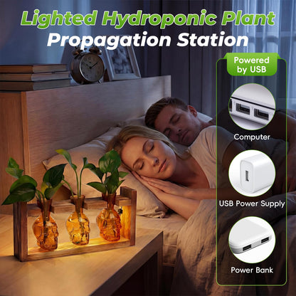 Skull Plant Propagation Station with LED Lights - Halloween Decor Skull Planter, Hydroponics Pot for Office, Unique Gifts for Women & Plant Lovers(Amber)