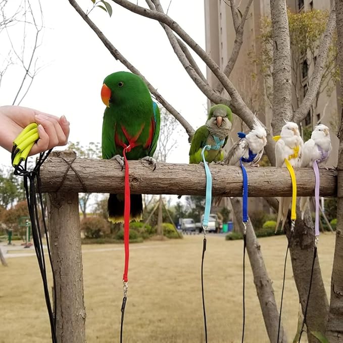 Adjustable Bird Harness with Elastic Leash, Pet Parrot Harness and Leash, Adjustable Training Design Anti-Bite, Bird Nylon Rope with Cute Wing for Conure (Yellow,S)