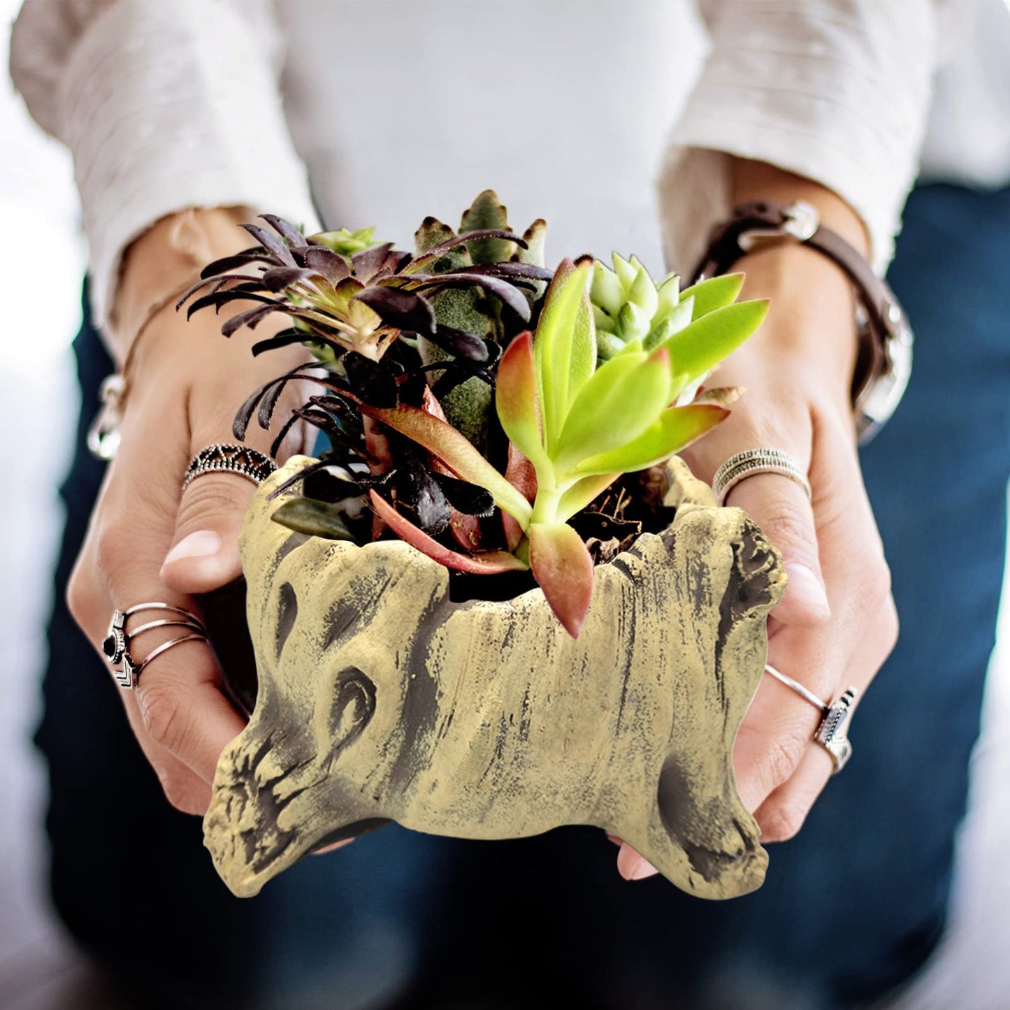 DIYOMR Pastoral Style Vintage Gardening Pots Bonsai Pot, Imitation Wood Concrete Flower Pot Succulent Cactus Bonsai Planter Pots Container, 4.7L x 3.9W x 3.4H, B