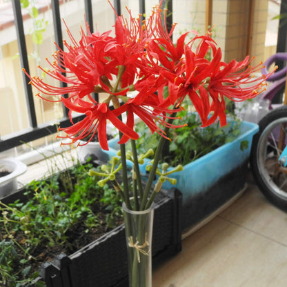 Calcifer 3 Stems Red Spider Lilies Artificial Flowers Lycoris Bulbs (Red)