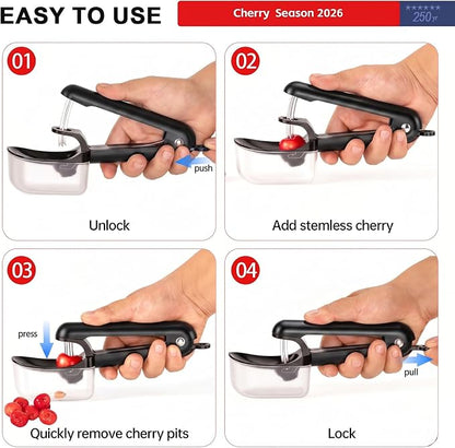 Cherry Pitter Tool Cherries Pitter Stainless Steel Rod for Making Cherry Jam with Lock Design(Black)