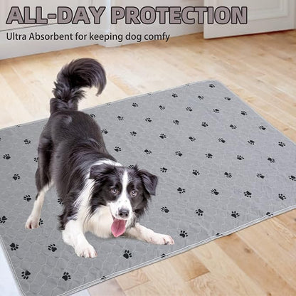 PUPTECK Washable Pee Pads for Dogs - 2 Pack 48" x 60" Waterproof Reusable Puppy Potty Training Pads Whelping Mat - Fast Absorption Non-Slip Pet Food Feeding Mat - Pad for Small Animals