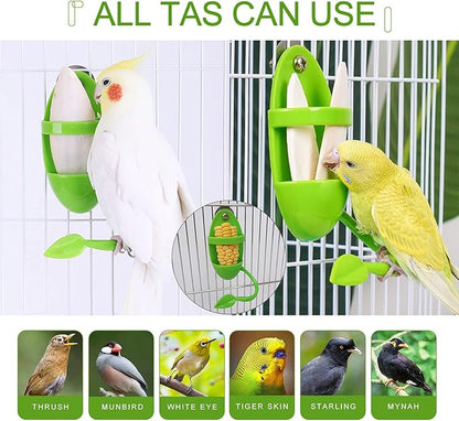 2 Pack Cuttlebone with 3 in 1 Food Holder, Natural Cuddle Bones for All Pet Birds Cockatiels Parakeets Budgies Finches(5.5~6 Inch, Midium Size)