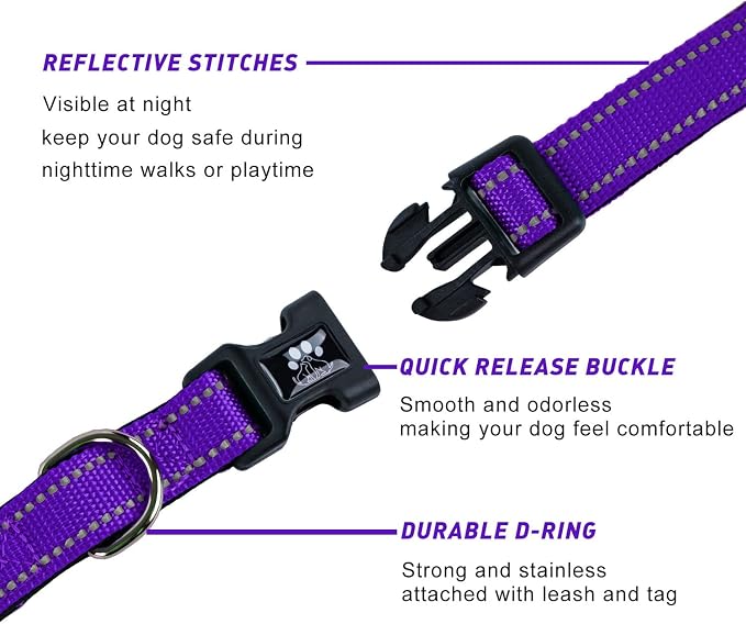 FURRYFECTION Reflective Dog Collar and Leash Set with Quick Release Buckle, Padded with Neoprene Adjustable Nylon Dog Collar for Small Medium and Large Dogs (Large Collar+5FT Leash, Purple)