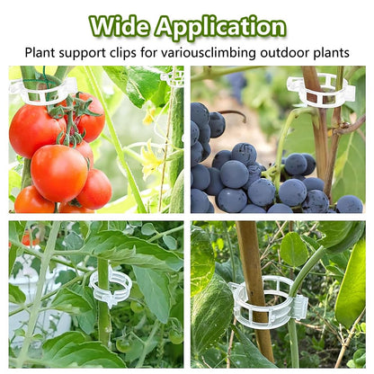 Dovciua 100PCS Plant Support Clips, Plastic Clips for Securing Plants, Plant Fixing Clips for Tomato Vine, Reusable Garden Clips for Climbing Plants, Grape, Vegetable Stems (200, Green)